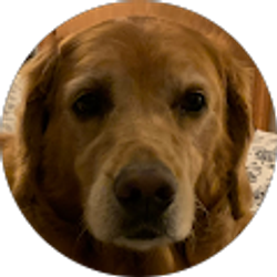 Profile photo of Barb Scheetz