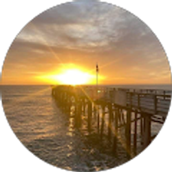 Profile photo of Mike Collins