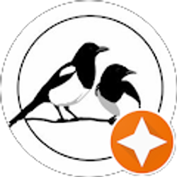 Profile photo of Beth Aldrich