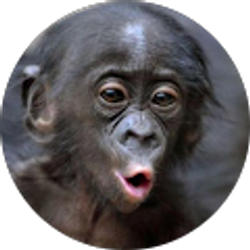 Profile photo of Braulio Corral