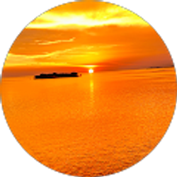 Profile photo of allison broadbent