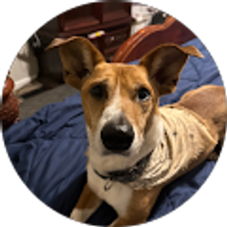 Profile photo of Michelle Davey