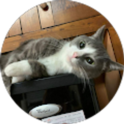 Profile photo of Kassy G.