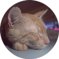 Profile photo of Richard Luong