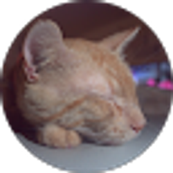 Profile photo of Richard Luong