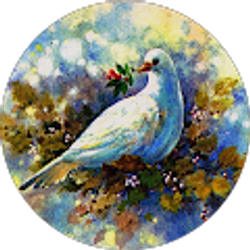 Profile photo of Lynn Clark