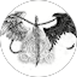 Profile photo of Austin Kapp