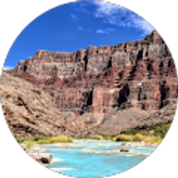 Profile photo of Diana Benedict