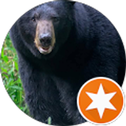 Profile photo of Walt Liebert