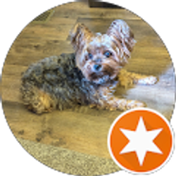 Profile photo of Toni Crawford