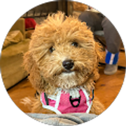 Profile photo of Tamara Cox