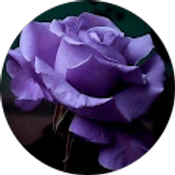 Profile photo of Teresa E Garcia