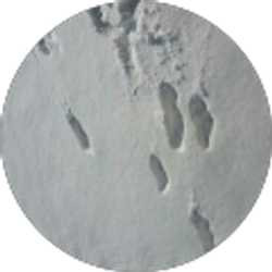 Profile photo of Angela Stovall