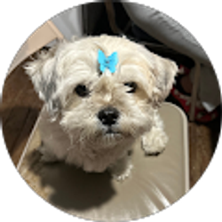 Profile photo of Ana Hinojosa