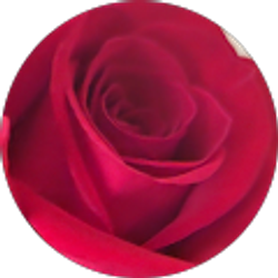 Profile photo of Topaz Calloway