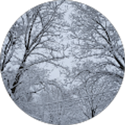 Profile photo of Pai Pi Moxey