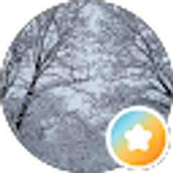 Profile photo of Pai Pi Moxey