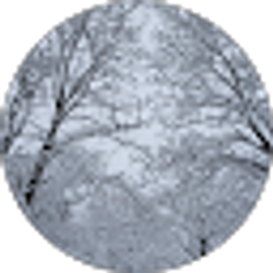 Profile photo of Pai Pi Moxey