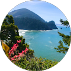 Profile photo of Marwan Kawas