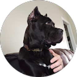 Profile photo of Rachel Edwards