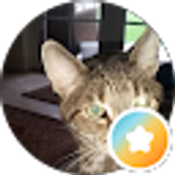 Profile photo of David Iverson