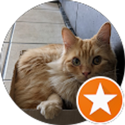 Profile photo of Jay “Shaggy” Salome