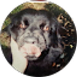 Profile photo of Bobby tilley jr.