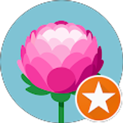 Profile photo of Lauren