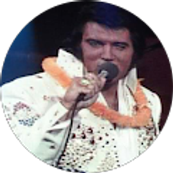 Profile photo of David P Dondona Sr.