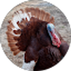 Profile photo of Dustin_ R Riddell