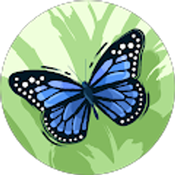 Profile photo of Rachel St. Louis