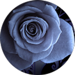 Profile photo of tori jensen