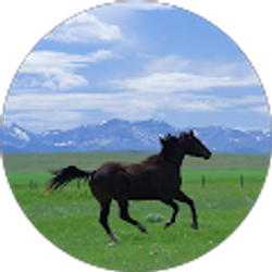 Profile photo of EDDIE LEMUS