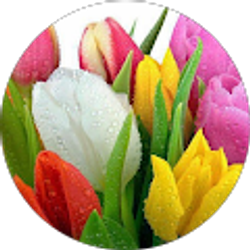 Profile photo of Mary Lichtenwaldt