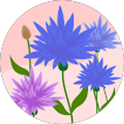 Profile photo of Delores Clark