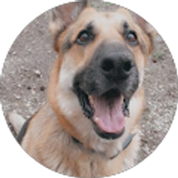 Profile photo of brandi meives