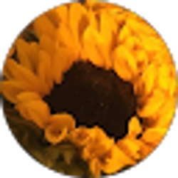 Profile photo of Lily Usherwood