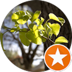 Profile photo of Hannah B