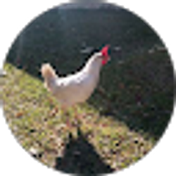 Profile photo of Michael Hewitt