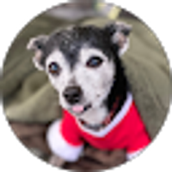 Profile photo of Karen Young