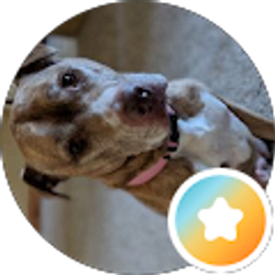 Profile photo of Jasmine Casswell