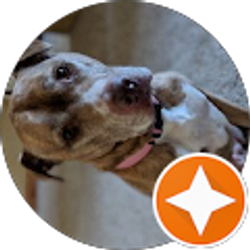 Profile photo of Jasmine Casswell