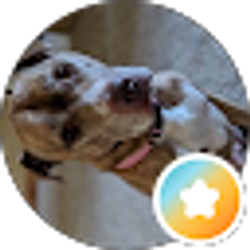 Profile photo of Jasmine Casswell