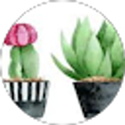 Profile photo of Meagan Bruni
