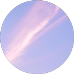 Profile photo of JH L