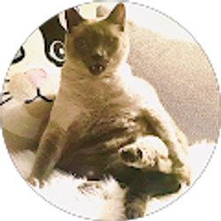 Profile photo of Jeni Dixon