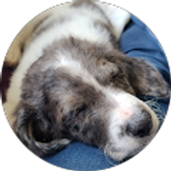 Profile photo of Anna Chenoweth