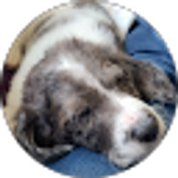 Profile photo of Anna Chenoweth