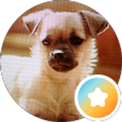 Profile photo of kee kee del arichee