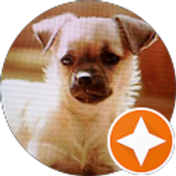 Profile photo of kee kee del arichee